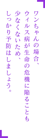 ワンちゃんの場合、ウィルス病が生命の危機に陥ることも少なくないため、しっかり予防はしましょう。