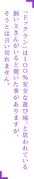 「ドックラン」は100%安全な遊び場、と思われている飼い主さんがいると聞いた事がありますが、そうとは言い切れません。