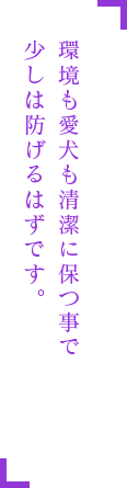 環境も愛犬も清潔に保つ事で 少しは防げるはずです。