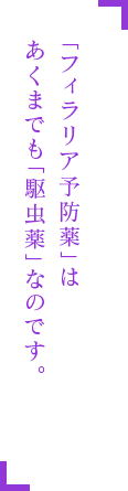 「フィラリア予防薬」は あくまでも「駆虫薬」なのです。