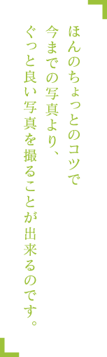 ほんのちょっとのコツで今までの写真より、ぐっと良い写真を撮ることが出来るのです。